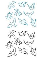 Pideons and doves birds vector