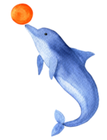 Watercolor sketch of cute cartoon jumping dolphin png