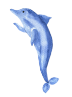 Watercolor sketch of cute cartoon jumping dolphin png