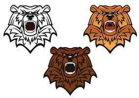 Wild bear tattoo vector