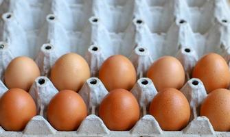 Closeup of eggs photo