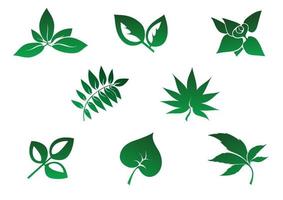 conjunto de icono de hojas vector