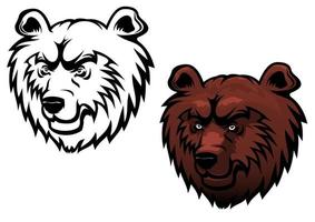 Wild kodiak bear vector