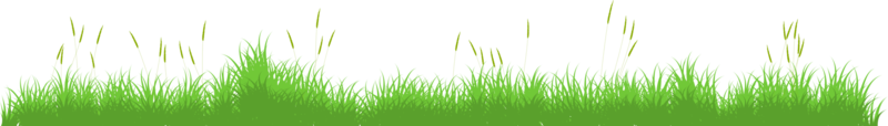 green grass. grass field png