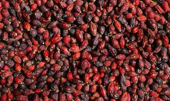 rose hips dry patch close-up, natural background. Healthy food concept photo