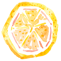 färsk frukt skivade, citroner teckning med akvarell.citrus frukt innehålla vitamin c.gul sur kalk. png