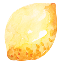 vers fruit gesneden, citroenen tekening met aquarel.citrus fruit bevatten vitamine c.geel verzuren limoen. png