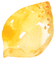 frische früchte in scheiben geschnitten, zitronen, die mit aquarell zeichnen. zitrusfrüchte enthalten vitamin c. gelber saurer kalk. png