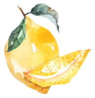 Fresh fruits sliced,lemons drawing with watercolor.Citrus fruits contain vitamin C.Yellow sour lime. png