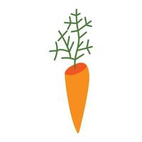 Vector image of a carrot in a flat style, for design purposes.