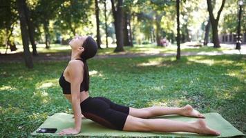 Yoga at the park video