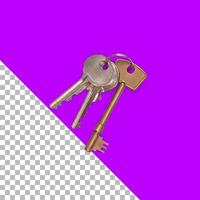 Top up view isolated metal keys photo