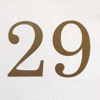 number twenty-nine in arabic numerals - house number 29