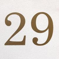 number twenty-nine in arabic numerals - house number 29 photo