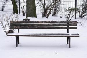 snow covered park bench photo