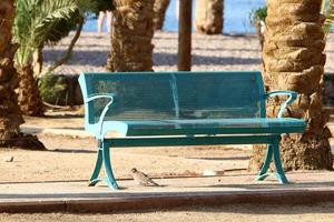 Bench for rest in the city park. photo