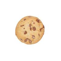 chocolate chip cookie photo