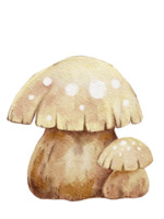 champignon sur fond transparent, illustration aquarelle éléments de dessin animé mignon de plante de la nature sauvage png