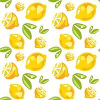 Seamless pattern of lemons with leaves on white background vector