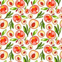 Seamless pattern of peaches with leaves on white background vector