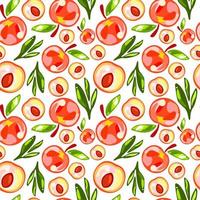 Seamless pattern of peaches with leaves on white background vector