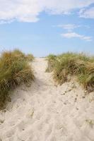 sand dune at baltic seaside photo