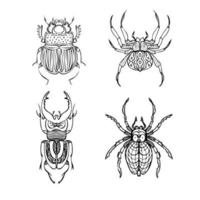 Set of different beetles and spiders black and white line vector illustrations. Hand drawing style.