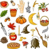 A set of autumn vector elements. Hand drawn illustration. Mystical rural autumn. Halloween concept.