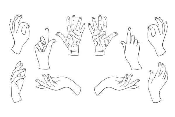Set linear silhouette of an elegant female or witch hand. Mystical movements of the posture of the fingers. Vector illustration