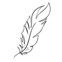 Feather of birds. Black and white feather silhouette for logo vector hand drawn set.