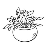 Cute plant in a flower pot. Vector illustration of indoor plants.