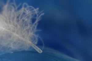 Macro view of one white feather photo