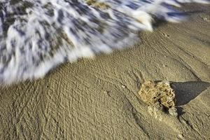 Coral stone on the sea beach photo