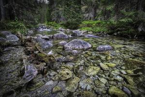 Flowing mountain stream with stones photo