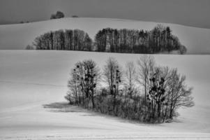 Winter landscape view with trees and snow photo