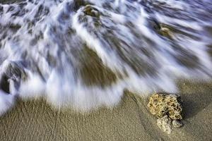 Coral stone on the sea beach photo