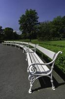 Group of white benches photo