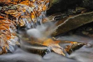 View of autumn waterfalls photo