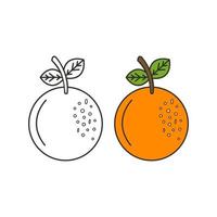 Hand drawn fruit vector template