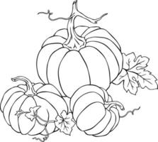 Three Pumpkins Halloween Coloring Page vector