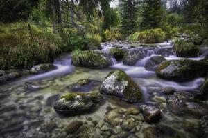 Flowing mountain stream with stones photo