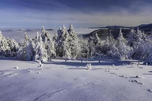 una vista de un paisaje invernal desde la cima de la montaña radhost foto