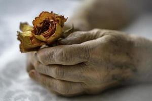 Senior woman hands and flowers photo