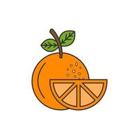 Hand drawn fruit vector template