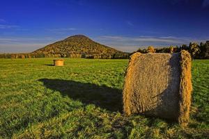 Silage in meadow photo