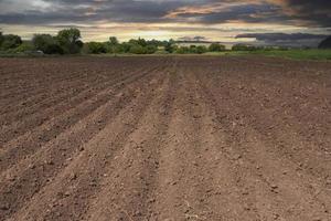 Furrows of plowed, prepared soil for sowing at sunset photo