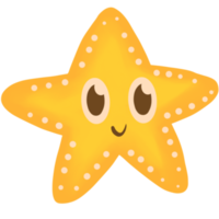 étoile de mer png
