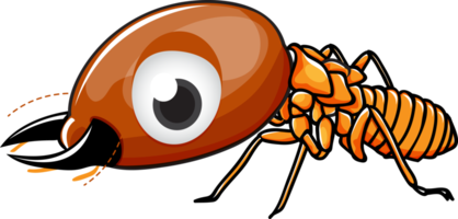 carino cartone animato termite png