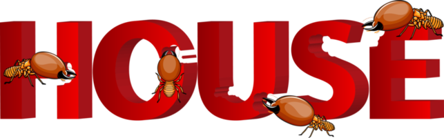 carino cartone animato termite png