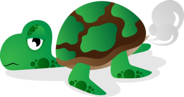 linda tortuga png